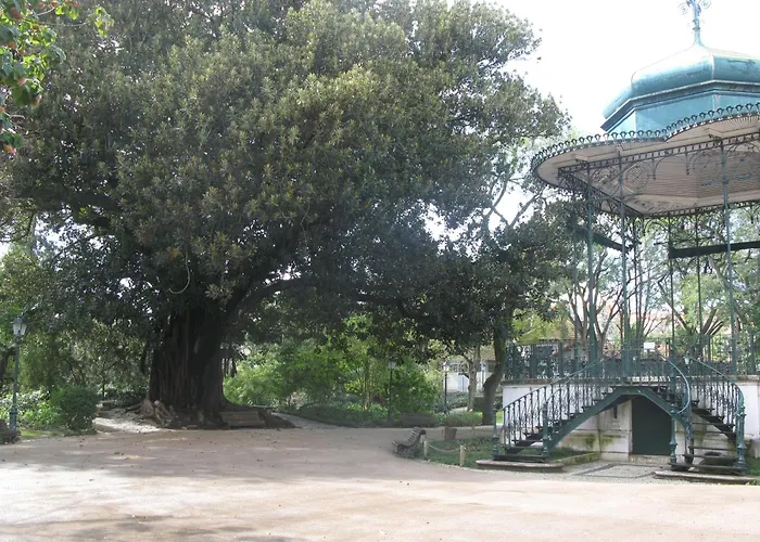 里斯本之星公寓